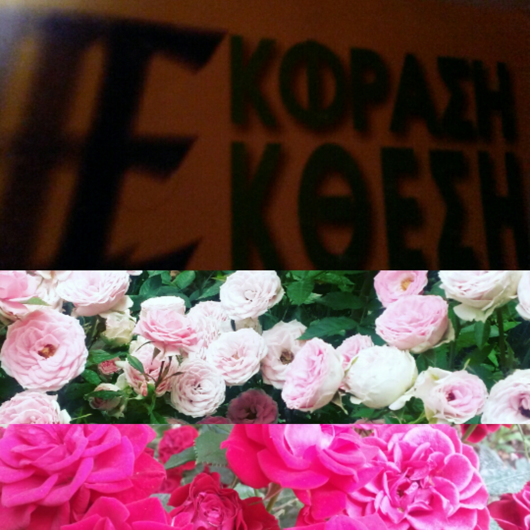 Εικόνα επιλογής
